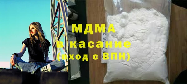 индика Ельня