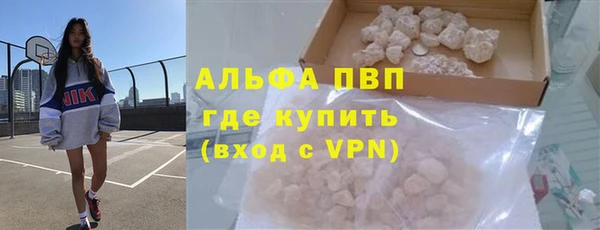 прущие крисы Губаха