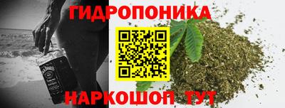 прущие грибы Заволжье