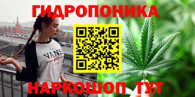 прущие грибы Заволжье