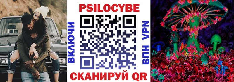 Псилоцибиновые грибы Cubensis Арсеньев