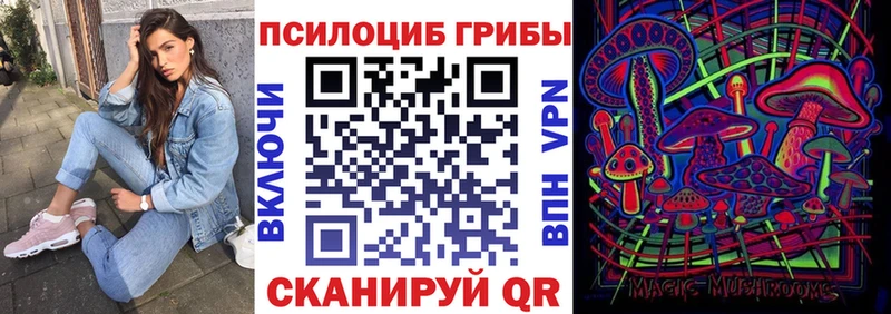кракен ТОР  Арсеньев  Псилоцибиновые грибы Psilocybe 