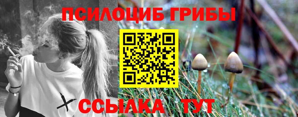 Арсеньев  Псилоцибиновые грибы MAGIC MUSHROOMS  Вход с VPN 